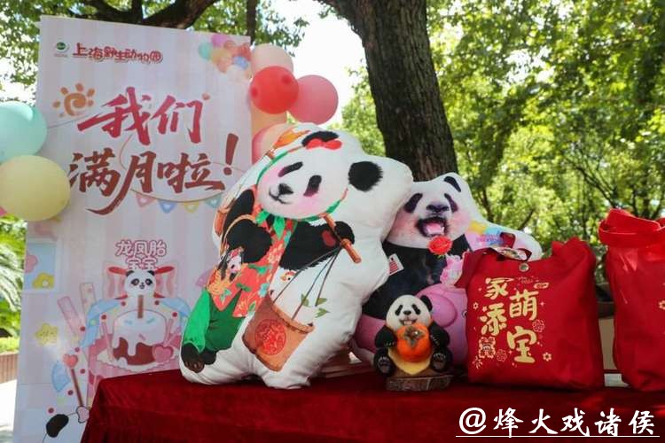 滑滑梯、喝盆盆奶……上海野生动物园官宣:沪产熊猫龙凤胎春节将与游客见面 滑滑梯、喝盆盆奶……上海野生动物园官宣:沪产熊猫龙凤胎春节将与游客见面